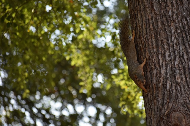 球速体育官方入口